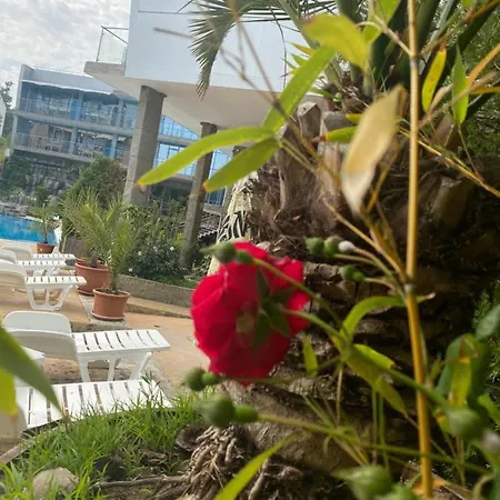 ホテル Kamenec 4*