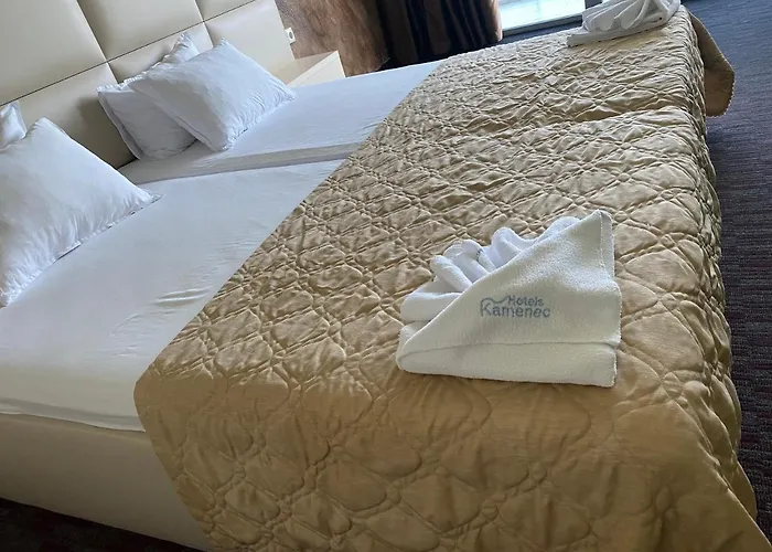 Kamenec Отель 4*